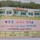 자주올레 민박 네이버블로그