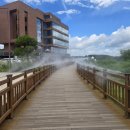 성성6로 이미지