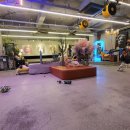 오르치그로치 이미지