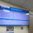 서울제일보조기 | [관절와순 수술 #2] 3주차에서 보조기를 풀기까지, 자주 물어보는 질문과 꿀팁 정리🍯