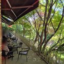 나인블럭 - 용인시 기흥구 공세로 34 | 용인 고기리 나인블럭 내돈내산 후기-애견 동반 계곡뷰 카페, 여유로운 브런치 스팟