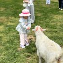 창만목장 이미지