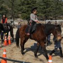 칠곡초등학교 이미지