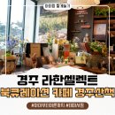 북큐레이션 | 라한셀렉트 경주 북큐레이션 카페 경주산책 방문후기