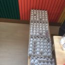 모담유치원 이미지