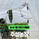 주성농장 이미지