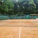 강북테니스장 이미지