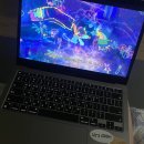 (주)지디메디칼 | 2022.March : 벚꽃도 보고 빅뱅도 컴백하고 코봉이는 사고치고 아침운동 2주째 성공중 ~ 부지런한 삶!