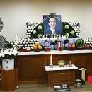 삼가의원 Daum카페