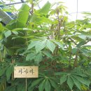 연한농장 이미지