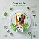 (주)솔벳 네이버블로그