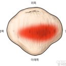 가디언 오브 갤럭시 PT 이미지