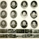 영양초교 이미지