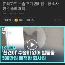 기초수급자 할아버지가 키우는 강아지 수술비 쾌척한 회사원ㅠㅠ 이미지