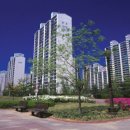 애플부동산중개 이미지