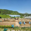 행복농장 이미지