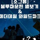 블루투어주