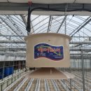 대류농장 이미지