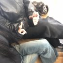 신중로13번길 이미지