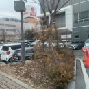 마전도서관 강당 이미지