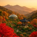 [성인,어르신] 스마트폰/키오스크 쉽게 따라하기(수 오후반) | 화담숲 네이버 예약방법 총정리! 2025 단풍시즌 성공률 100% 꿀팁