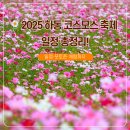 옛일와곶감영농조합법인 | 🌸 2025 하동 북천 코스모스·메밀꽃 축제 완전 가이드