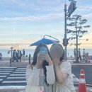 하늘정원장 | 제리의 하루 25.