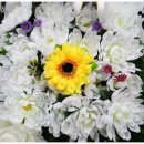 ◈ 산악인:- 이봉수대장(55세) 별세- 삼가고인의 명복을 빕니다. 이미지