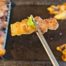 🔸🔸가을 날의 맛과 멋으로...경의선 숲길[연트럴파크&amp;홍대입구역&amp;땡땡거리] 감성 산책 2025.09.21[일] 오후 2시🔸🔸 이미지