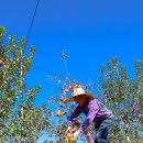 연평농장 이미지