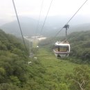 비고리조트 16 이미지