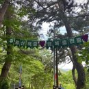 땅끝조각공원 | 삼척 여행코스 가볼만한곳 추암촛대바위 출렁다리 추암조각공원 후기