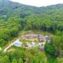 산삼꽃피는마을 이미지