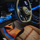 주식회사 베스트 | 제네시스 GV80 매트 G80 호환 카매트 베스트조합 1열 솔직 후기