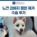 수성동물병원(일반동물병원) 이미지