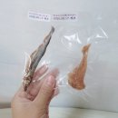 펫딩 이미지