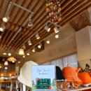 머뭄 | 우도 숙소 1박 해봤는데 솔직히 비추천입니다(우도 머뭄 게스트하우스 후기)