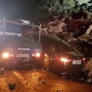 서천소방서-19 이미지