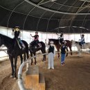 퀸즈승마장 이미지