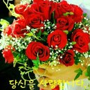 수요일 - 군산시 상지곡1길 14-6 | 수요일