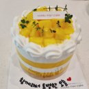 샵 초도 | 쿠키마리케이크샵 수성구 케이크 맛있는 곳 망고케이크 예약후기 대구 수제 케이크 맛집