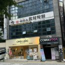 서래의료기 | 방배동 코브라요가 새벽요가 방배 힐링 요가 명상