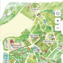 지도 왕벚나무길 이미지