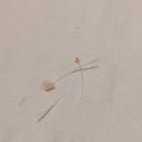 초우레스토랑 이미지