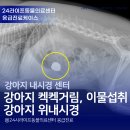 라이프 동물병원 | 대구 연중무휴 동물병원 : 강아지 이물질 섭취로 인한 응급 내시경 후기