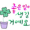 하모니카 초급/중급 이미지