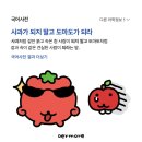 떡국 펌피럽~