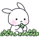 한사랑동물병원 이미지