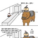 머리못하는집 네이버블로그