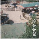 수봉놀이동산 이미지